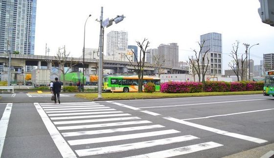 Bearing Capacity 50tons Pedestrian Crossing Light